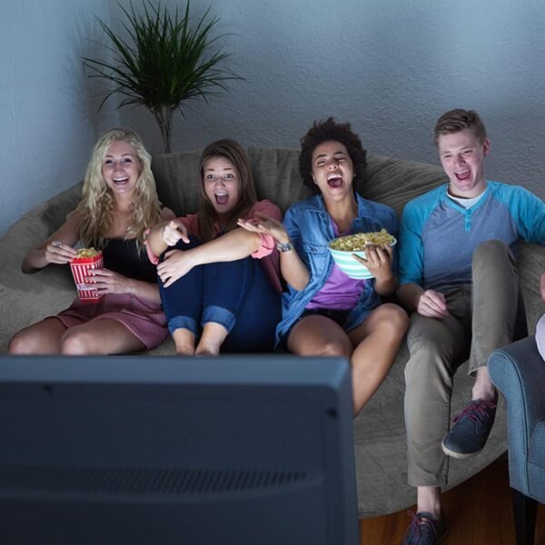 A must-have for lazy people - the bean bag sofa