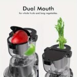 Whole Vertical Juicer