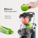 Whole Vertical Juicer